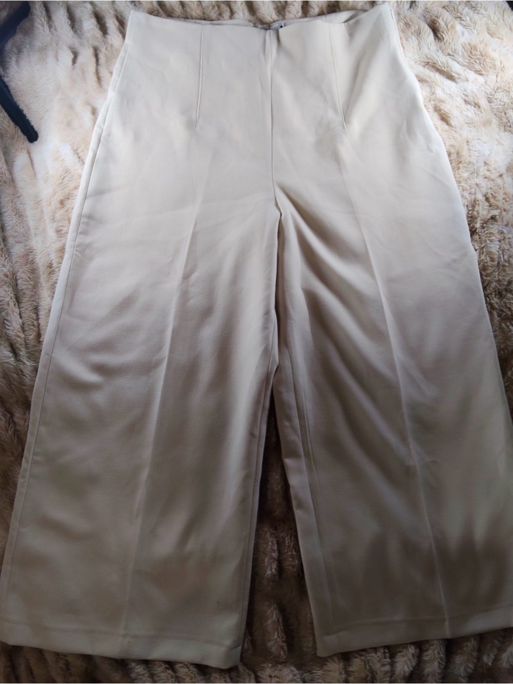 Zara Wide-Leg High-Waist Pants — Cream